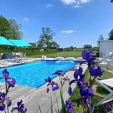Villa Blue Garden B&B Vlaamse Ardennen Nabij Pairi Daiza Geraardsbergen Dış mekan fotoğraf