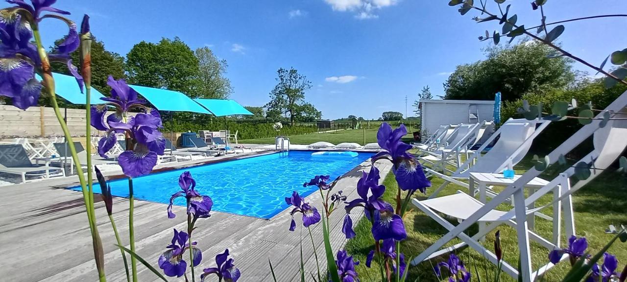 Villa Blue Garden B&B Vlaamse Ardennen Nabij Pairi Daiza Geraardsbergen Dış mekan fotoğraf