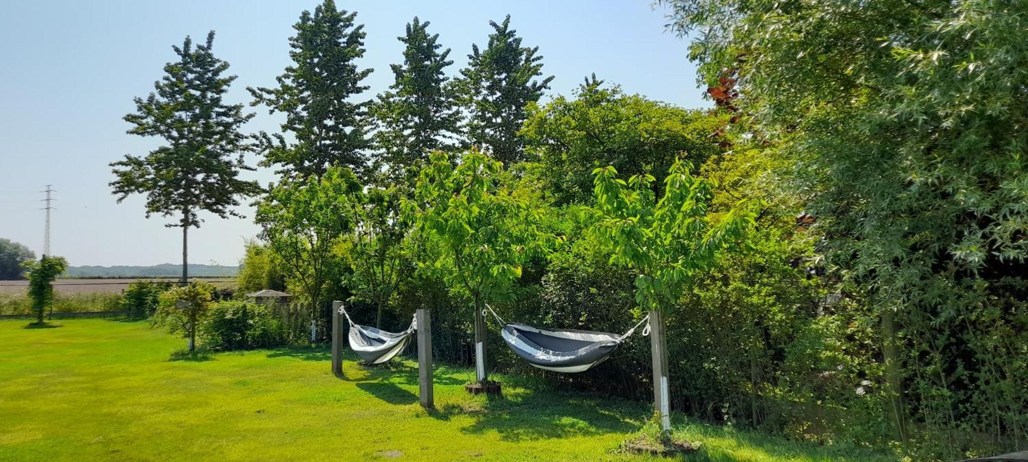 Villa Blue Garden B&B Vlaamse Ardennen Nabij Pairi Daiza Geraardsbergen Dış mekan fotoğraf